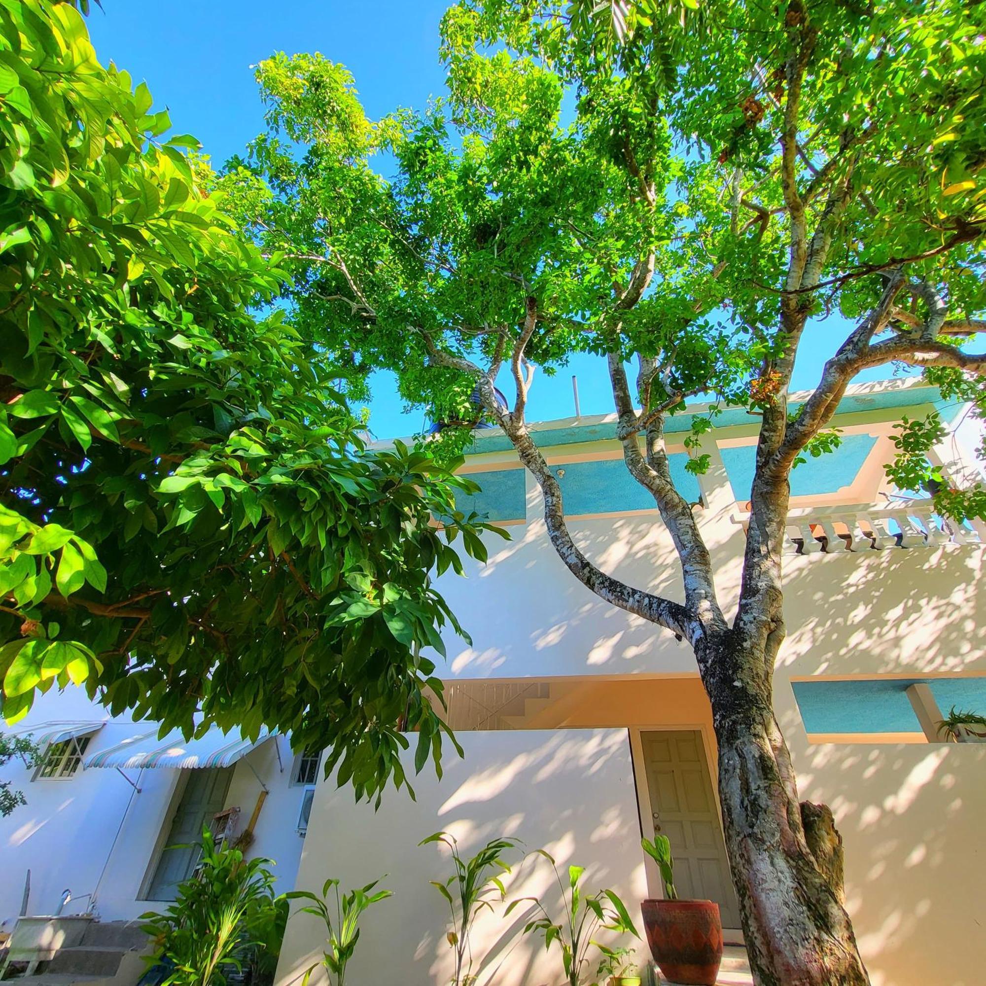 Green'S Palace Jamaica Oracabessa Extérieur photo